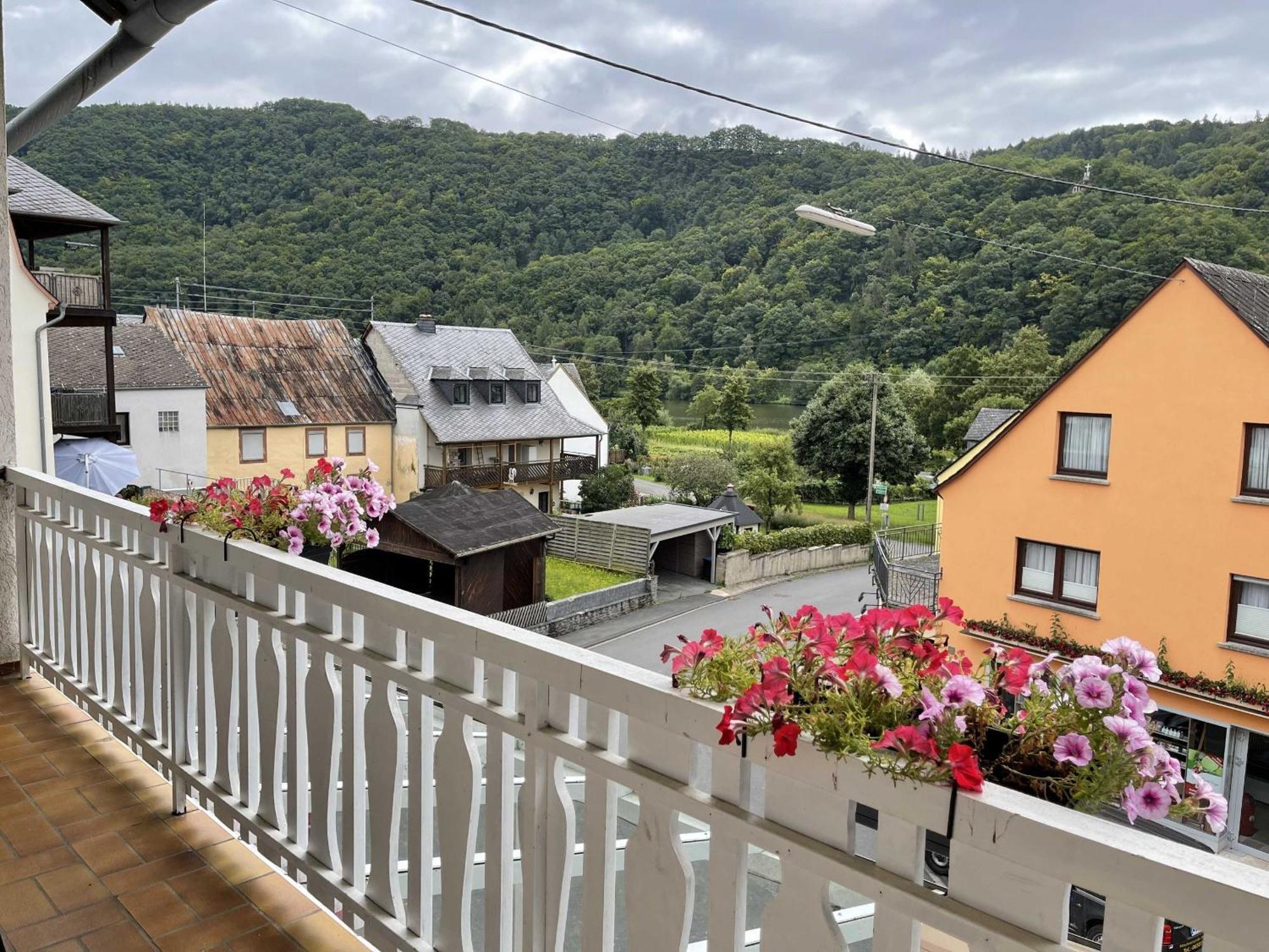 Hotel Zur Mosel Minheim Bagian luar foto